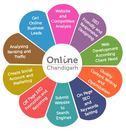 SEO Company in Chandigarh