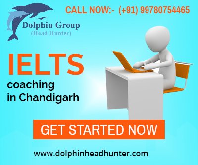 Dolphin Head Hunters - Online Chandigarh