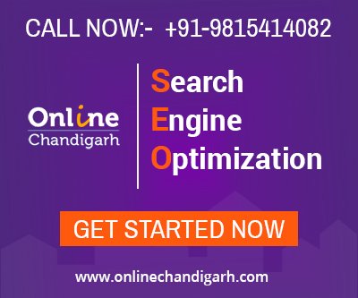 SEO in Chandigarh - Online Chandigarh